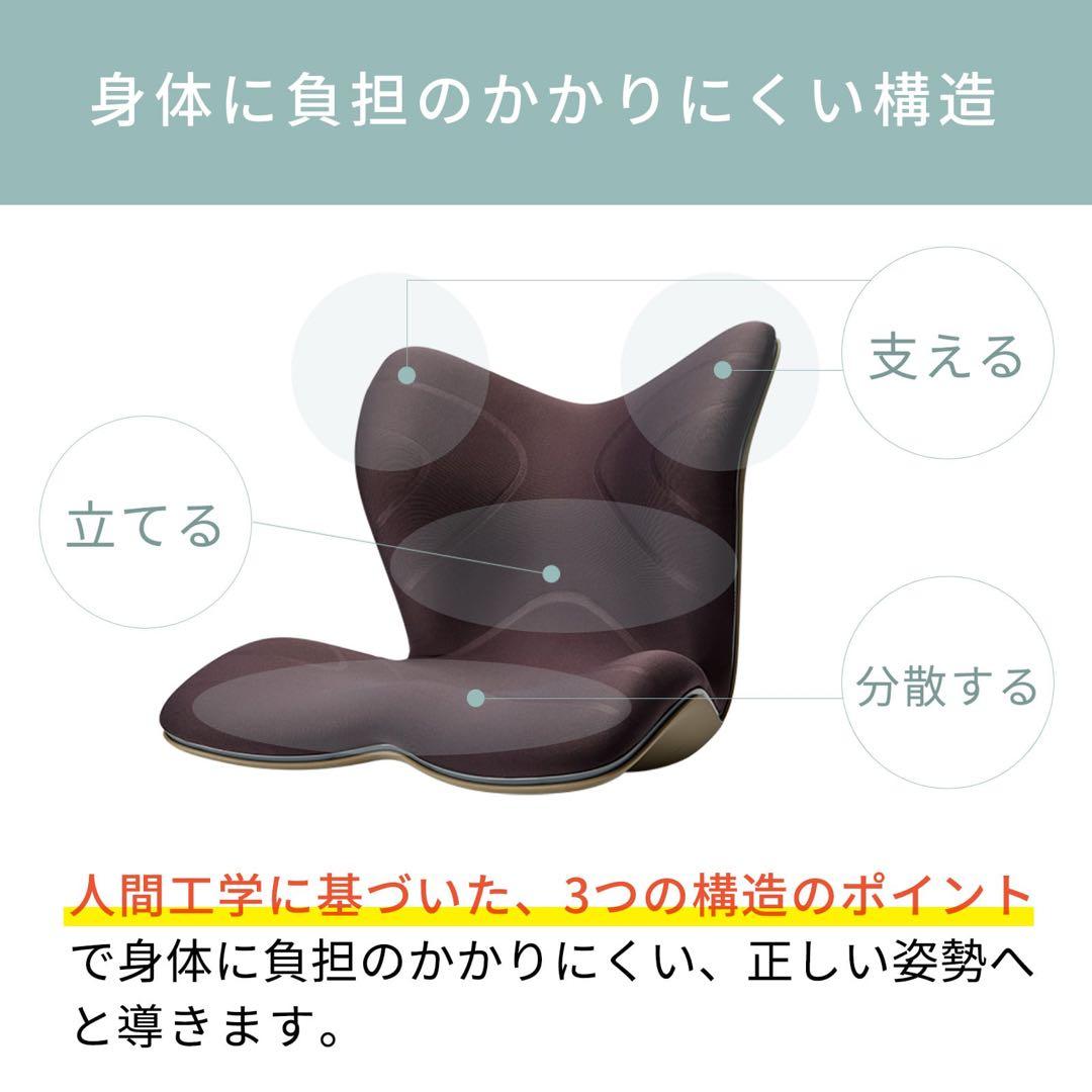 MTG 骨盤矯正クッション 黒　スタイルプレミアム