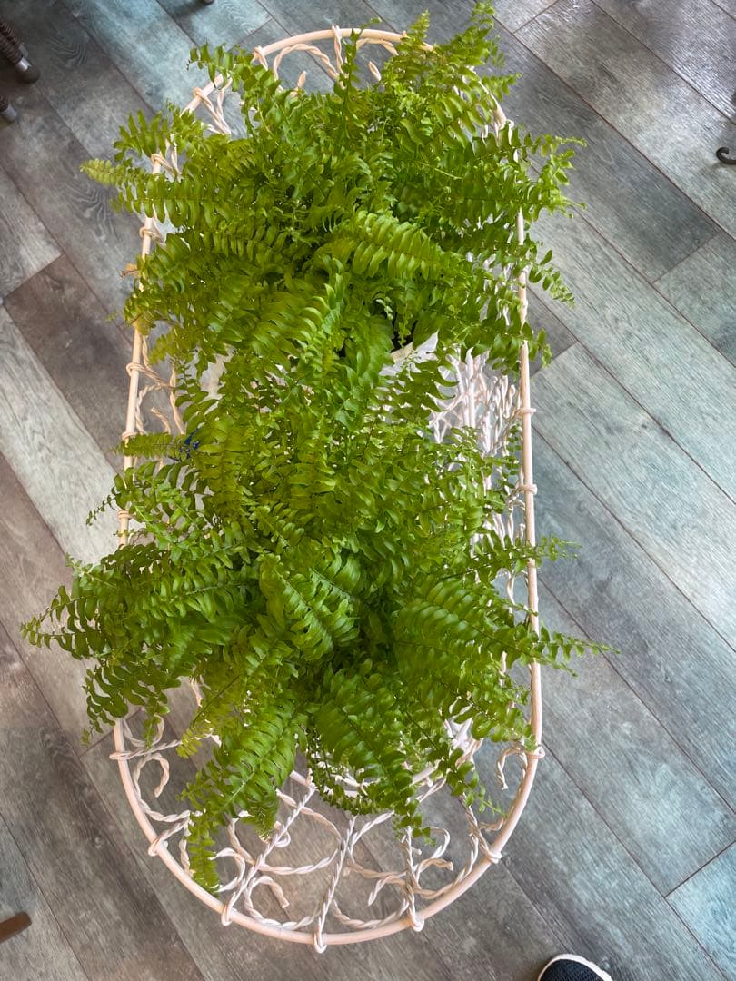 サイド　スタンド　2段　バスケット　アイアン　アンティーク　置物