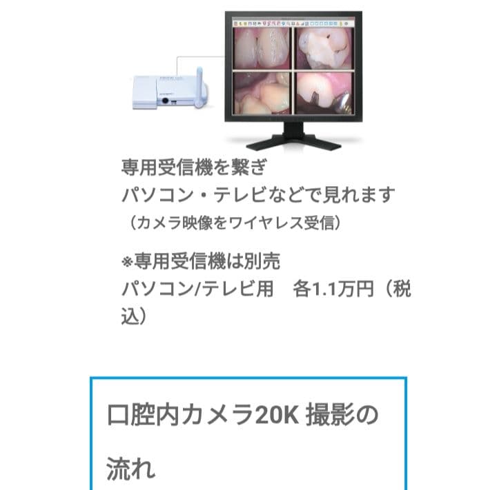 口腔内カメラ　アールエフ　Einstein　受信機＆充電器つき