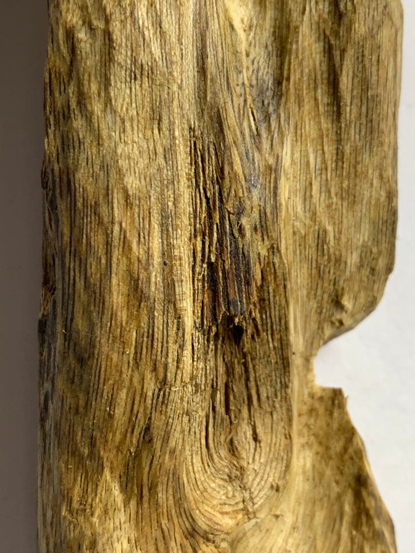 緑油伽羅 沈香原木 香木 重さ:25.4g (本物証明)