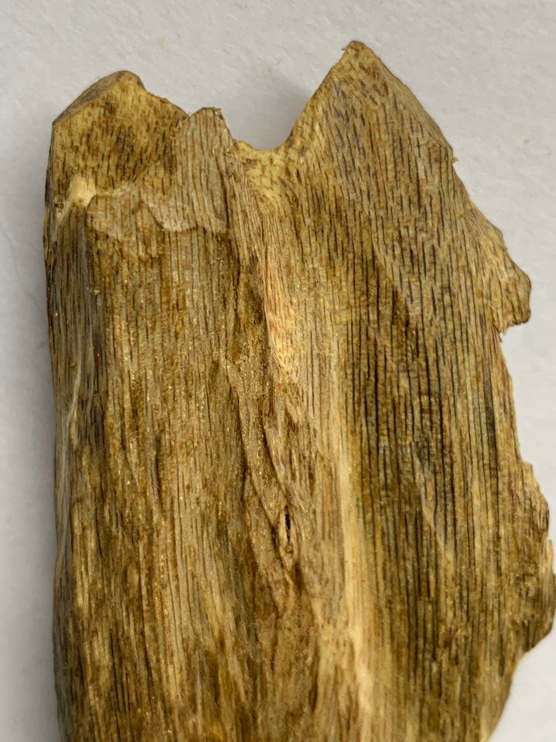 緑油伽羅 沈香原木 香木 重さ:25.4g (本物証明)