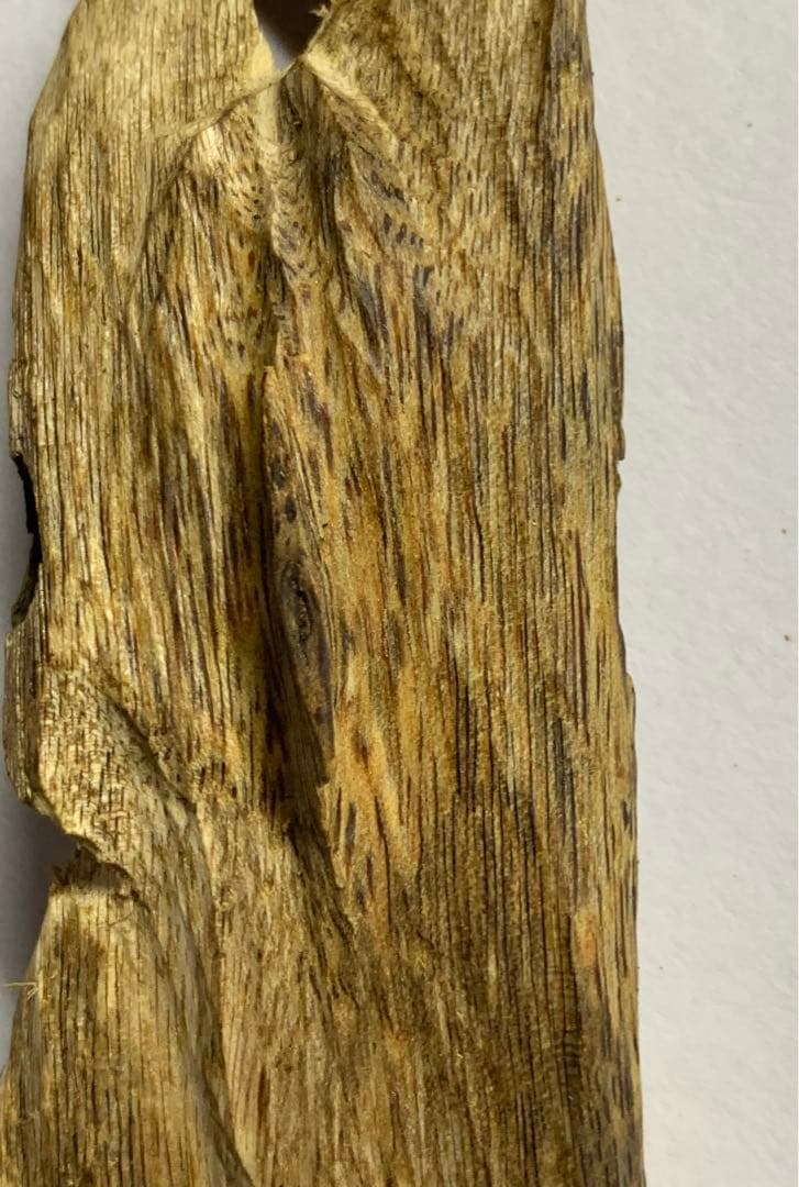 緑油伽羅 沈香原木 香木 重さ:25.4g (本物証明)