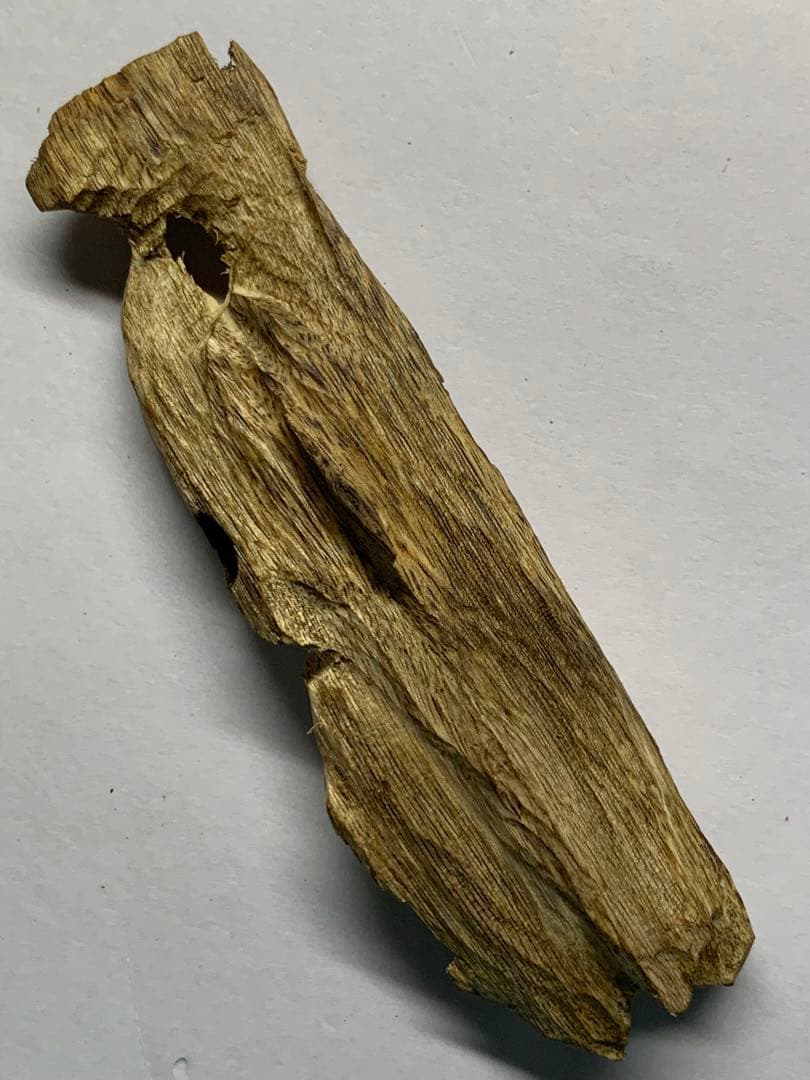 緑油伽羅 沈香原木 香木 重さ:25.4g (本物証明)