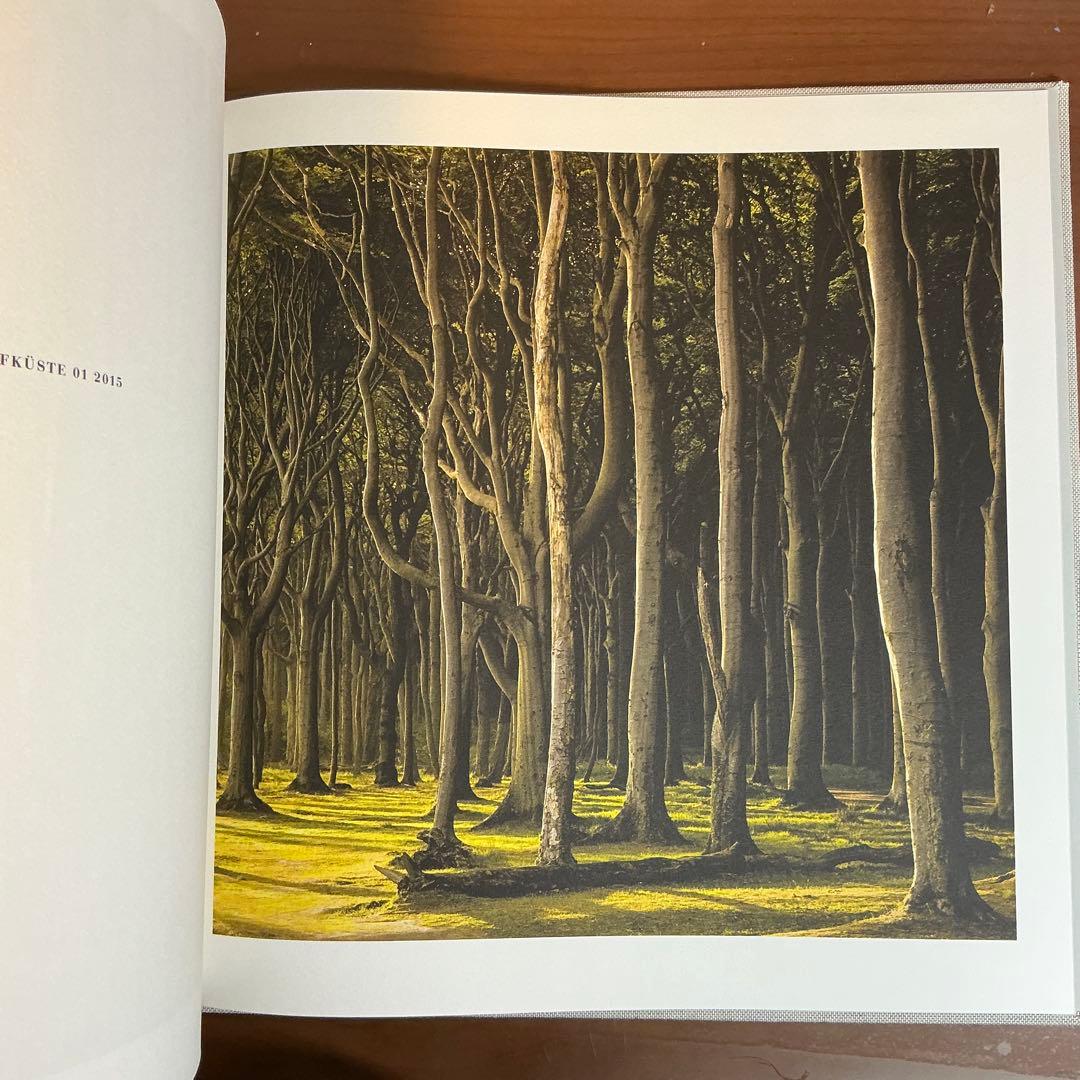 (初版 ) WOODLANDS: MAT HENNEK (洋書)