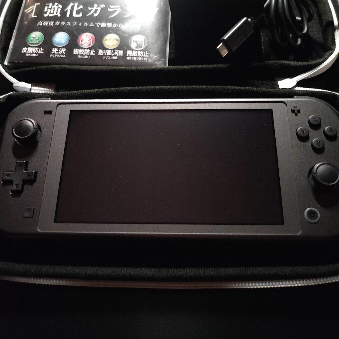 Nintendo Switch Lite ポケモン ディアルガ・パルキア