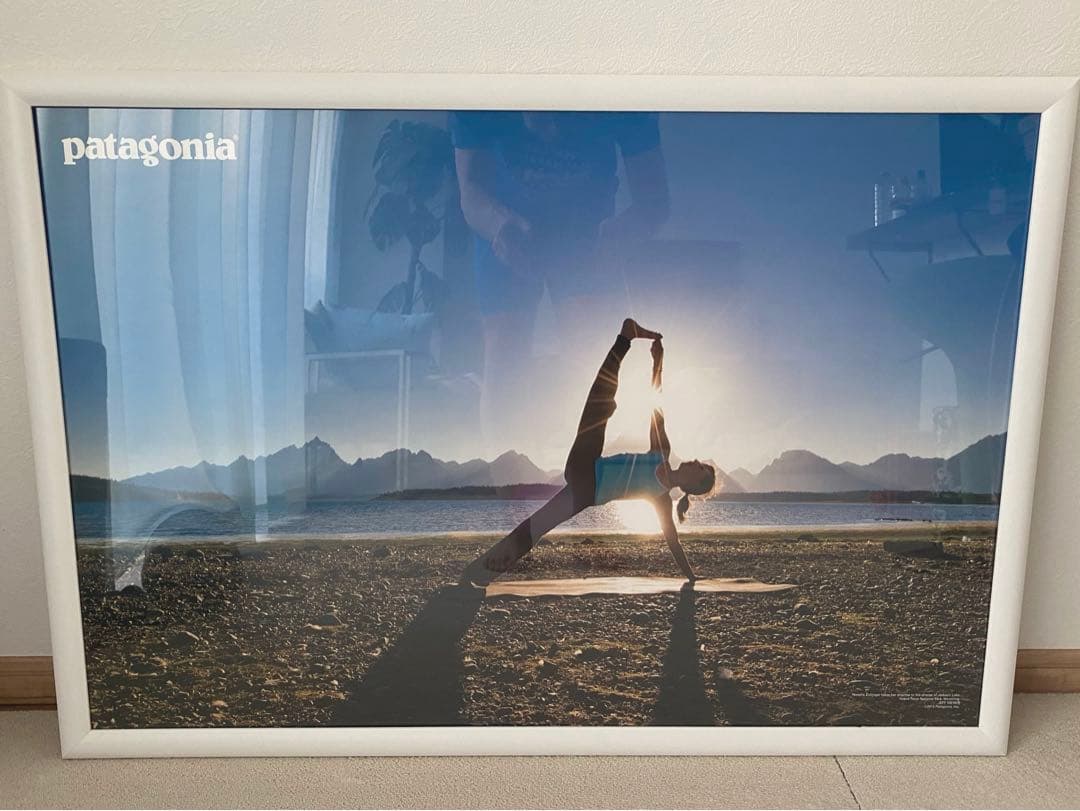 patagonia パタゴニア ポスター 額装品 特大 96cm×66cm