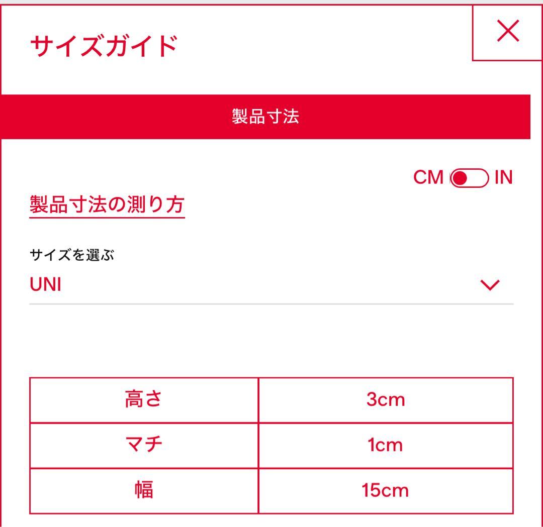 DIESEL キーホルダー　キーリング　オーバルD ロゴ　チャーム　シルバー