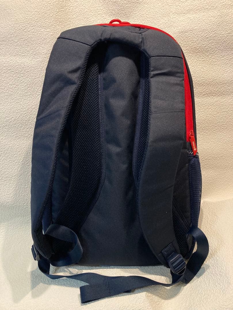 ラグビーW杯ジャパン2019大会関係者用バッグ　カンタベリー製新品&キーホルダー