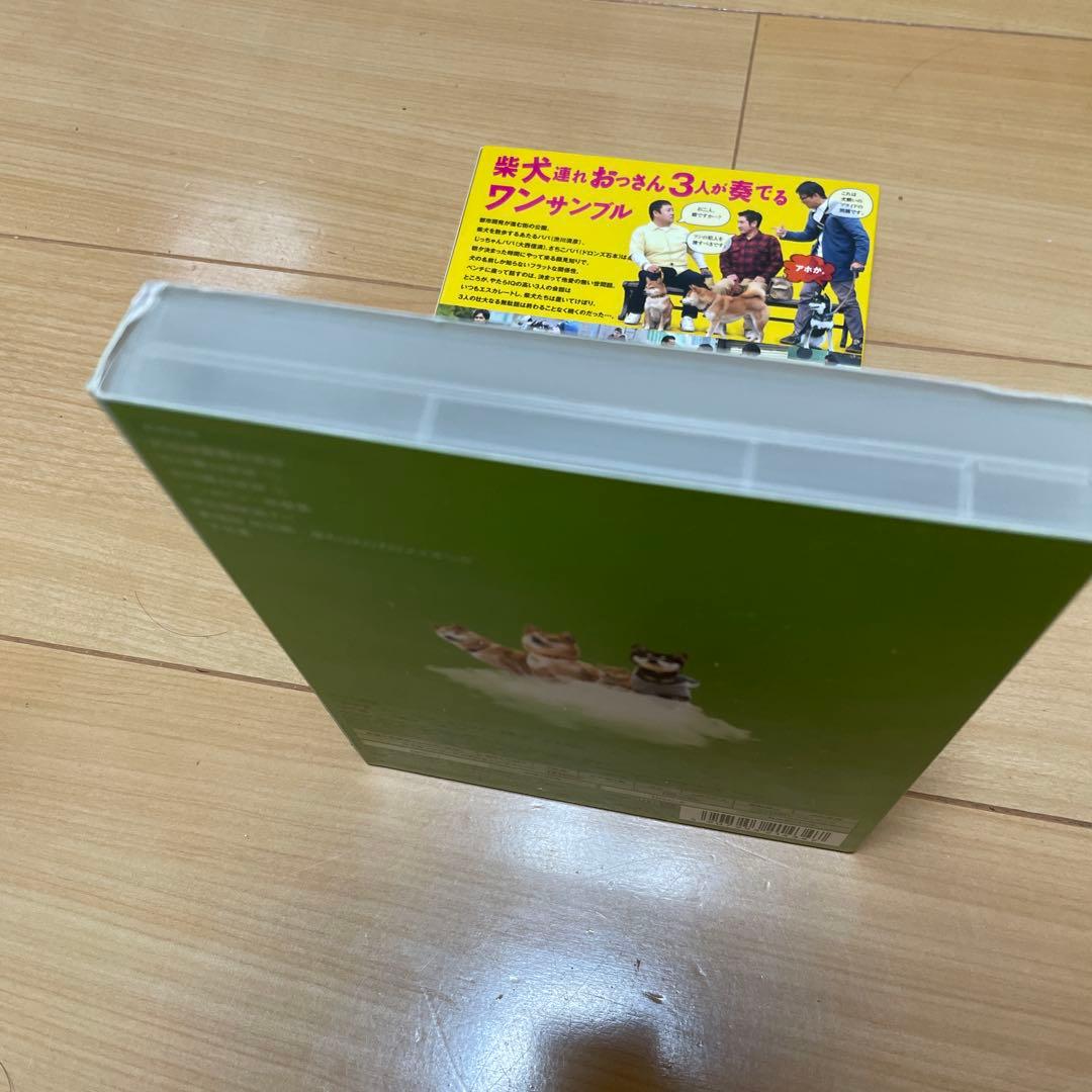 柴公園　ドラマ・劇場版　DVD BOXセット