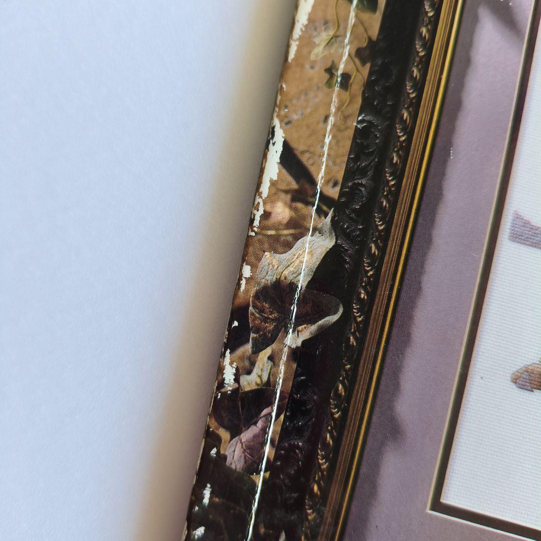 クロスステッチ　絶版洋書　テレサ・ウェンツェラー