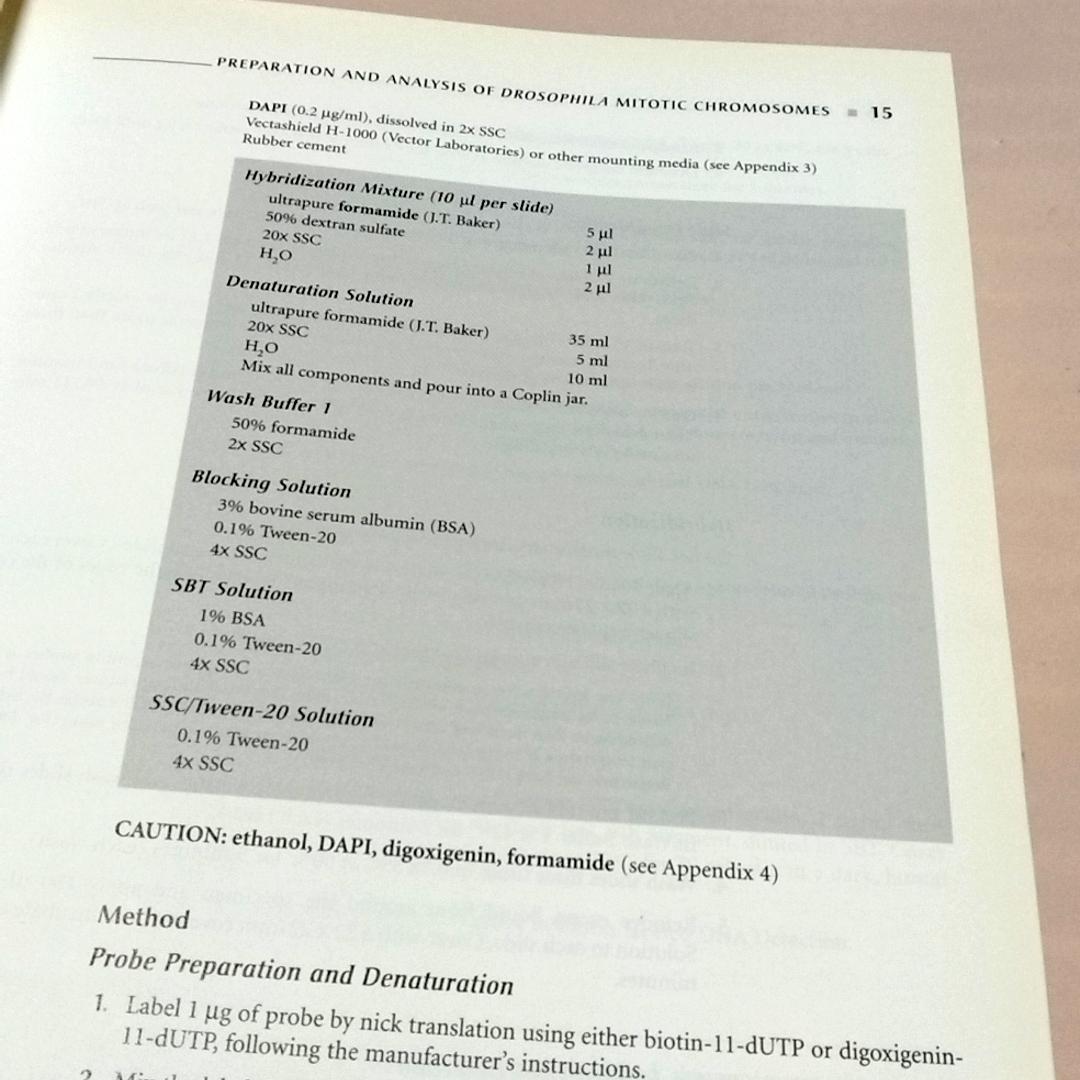 Drosophila Protocols ショウジョウバエ プロトコル