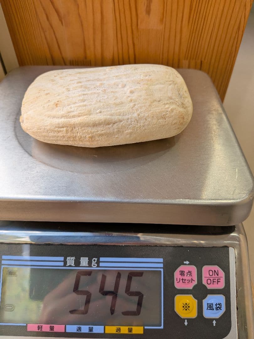 マッコウ鯨歯　本物オス歯メス歯セット