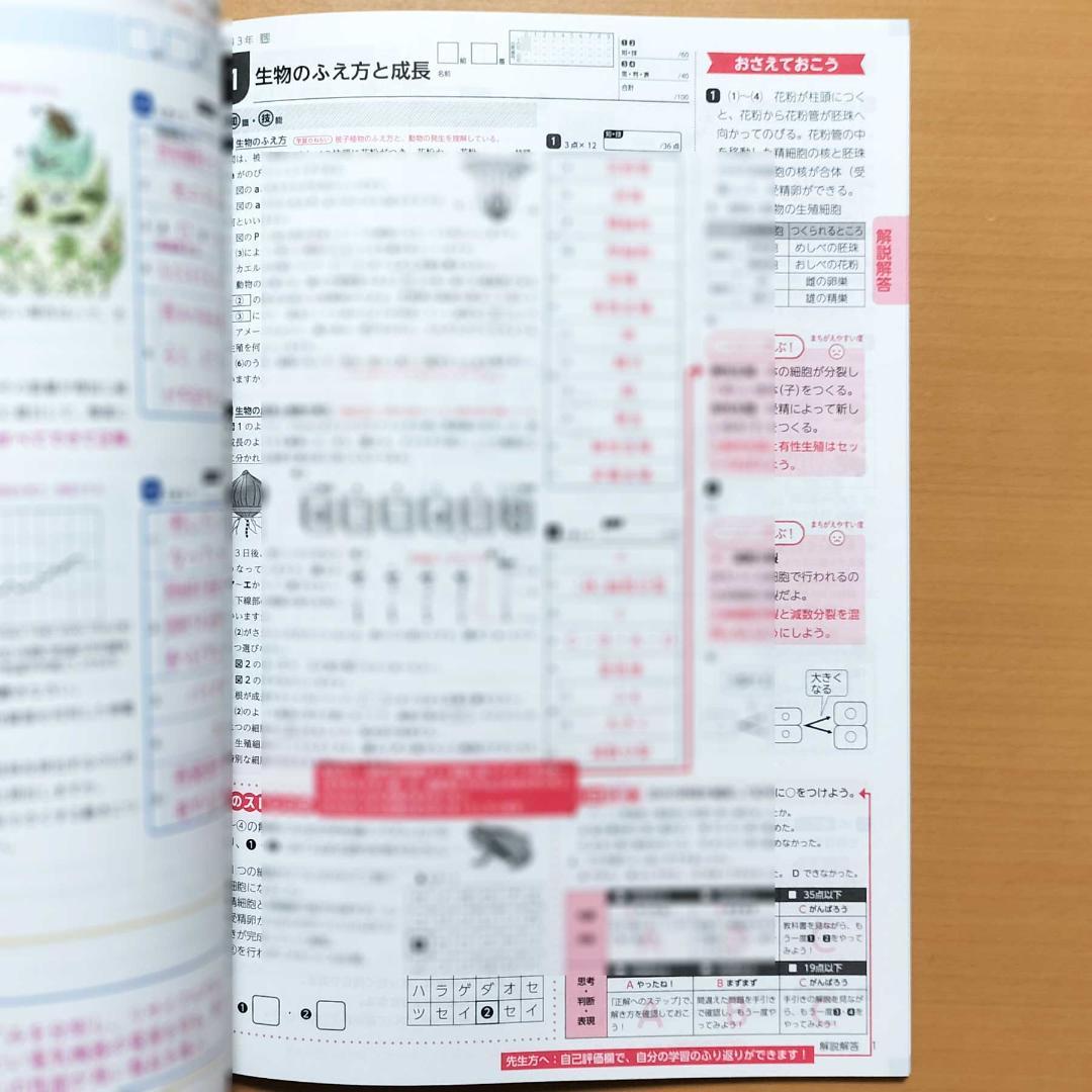 2025年度Wプリント理科3年 啓林館版ダブルプリント【教師用】答え 解答 啓