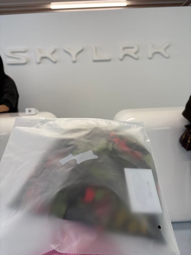 新品未使用　SKYLRK ビーニー　ジャスティンビーバー