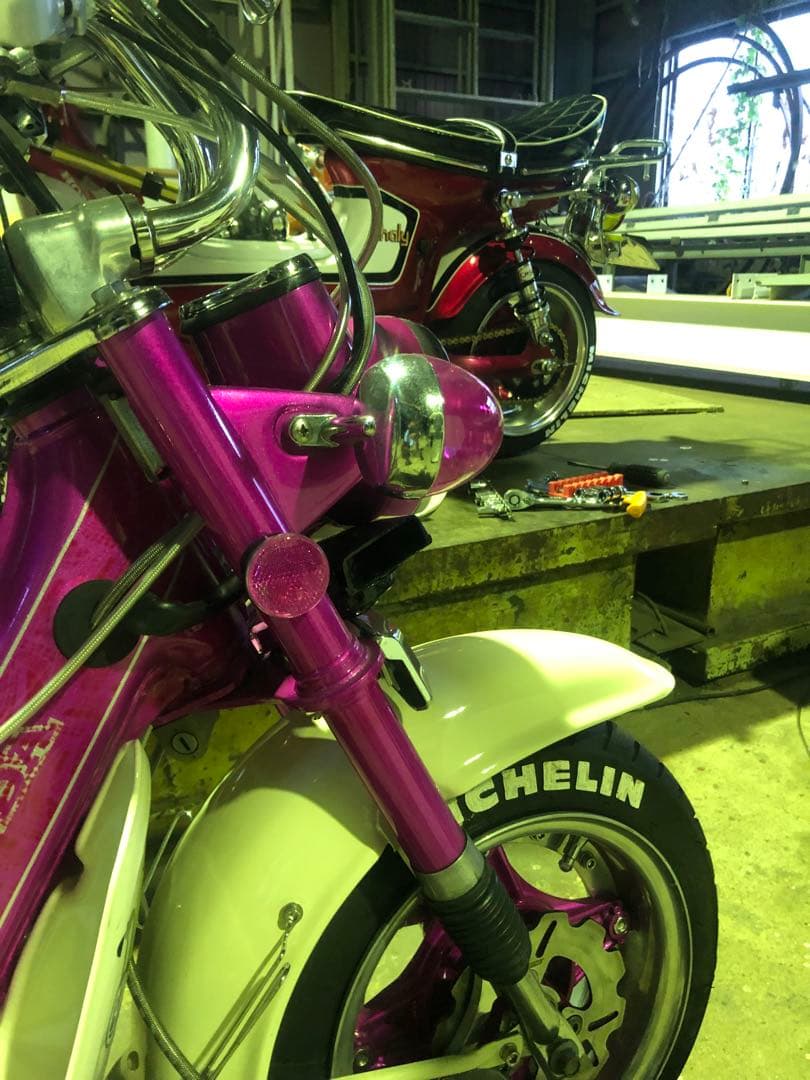 シャリー　ダックス　ピンクリフレクター