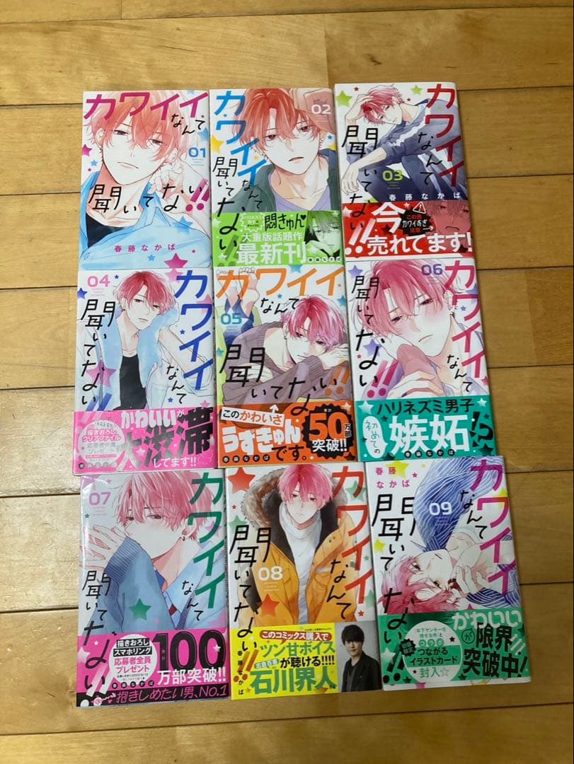 マンガ、漫画、全巻セット、まとめ売り 写真➕2（さよならミニスカート、銀狼陛下）