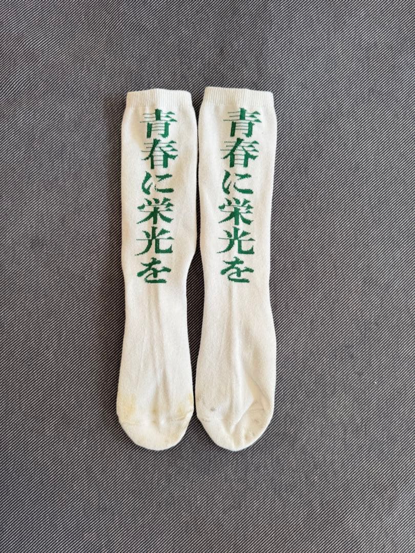 新しい学校のリーダーズ a.k.a. ATARASHII GAKKO!