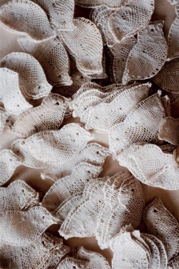 ゆう　小鳥のレース１セット　蝉のレース６m