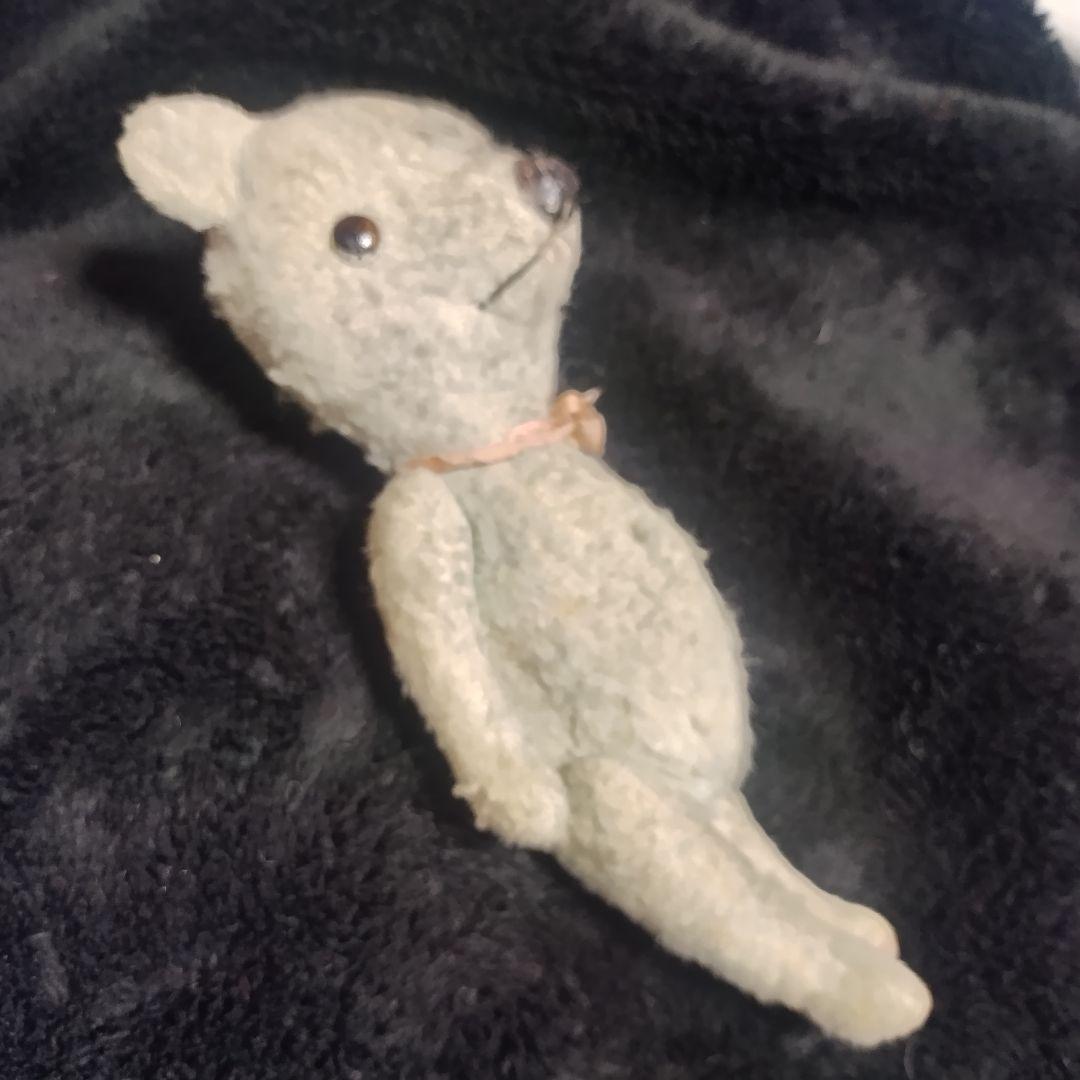 テディベア　加藤日砂