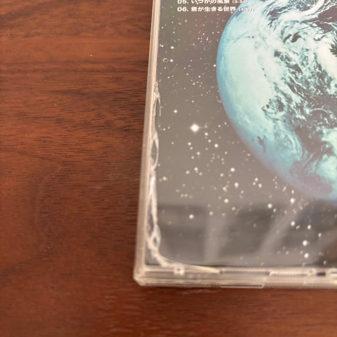 SUPER BEAVER 日常 廃盤 貴重な帯あり