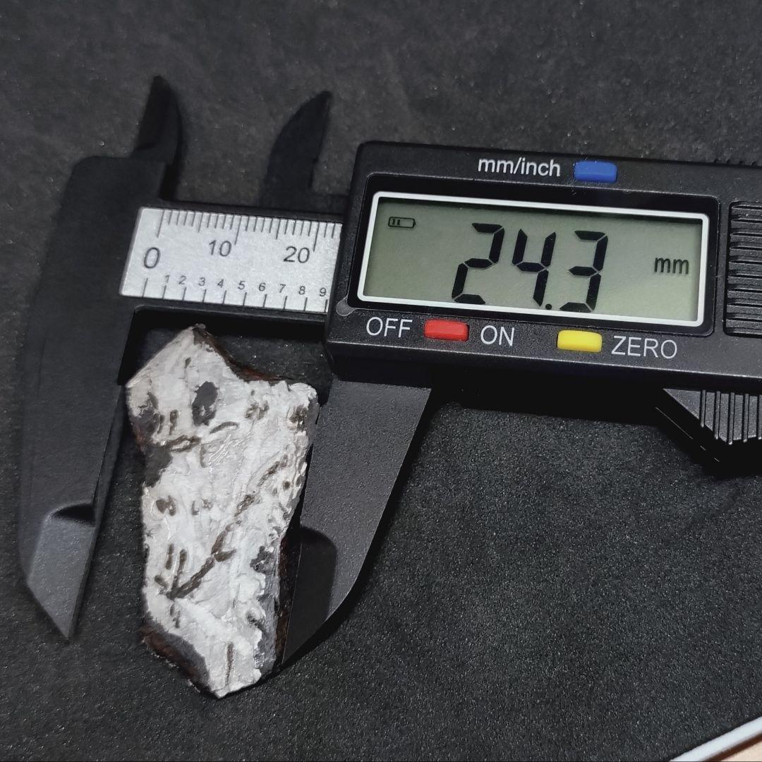 ギベオン隕石　(スライス)　8.8g