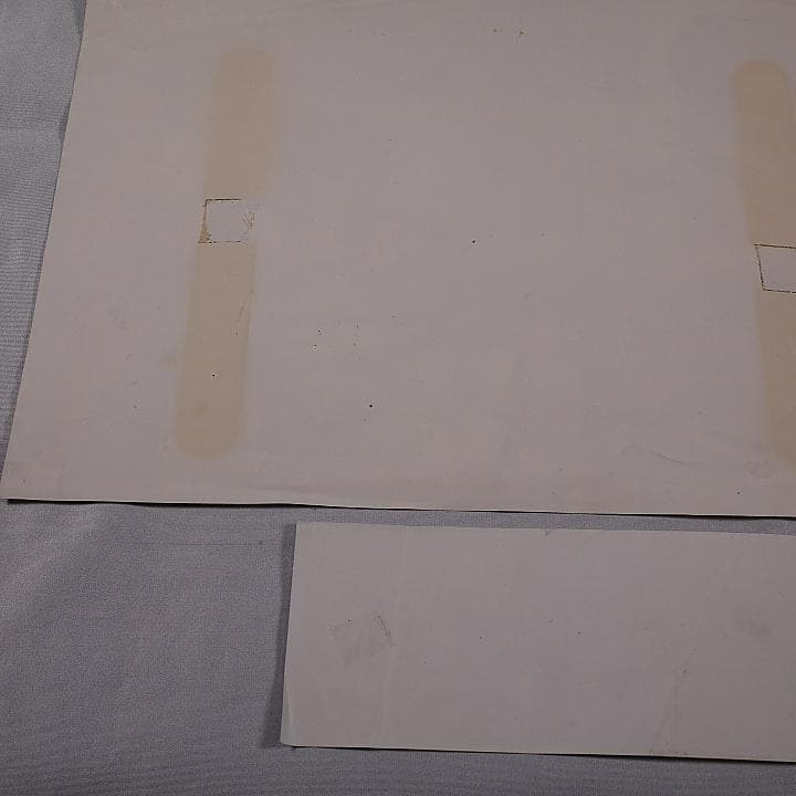 純正インスト+取扱説明書+帯1本　婆娑羅2　BASARA2　VISCO