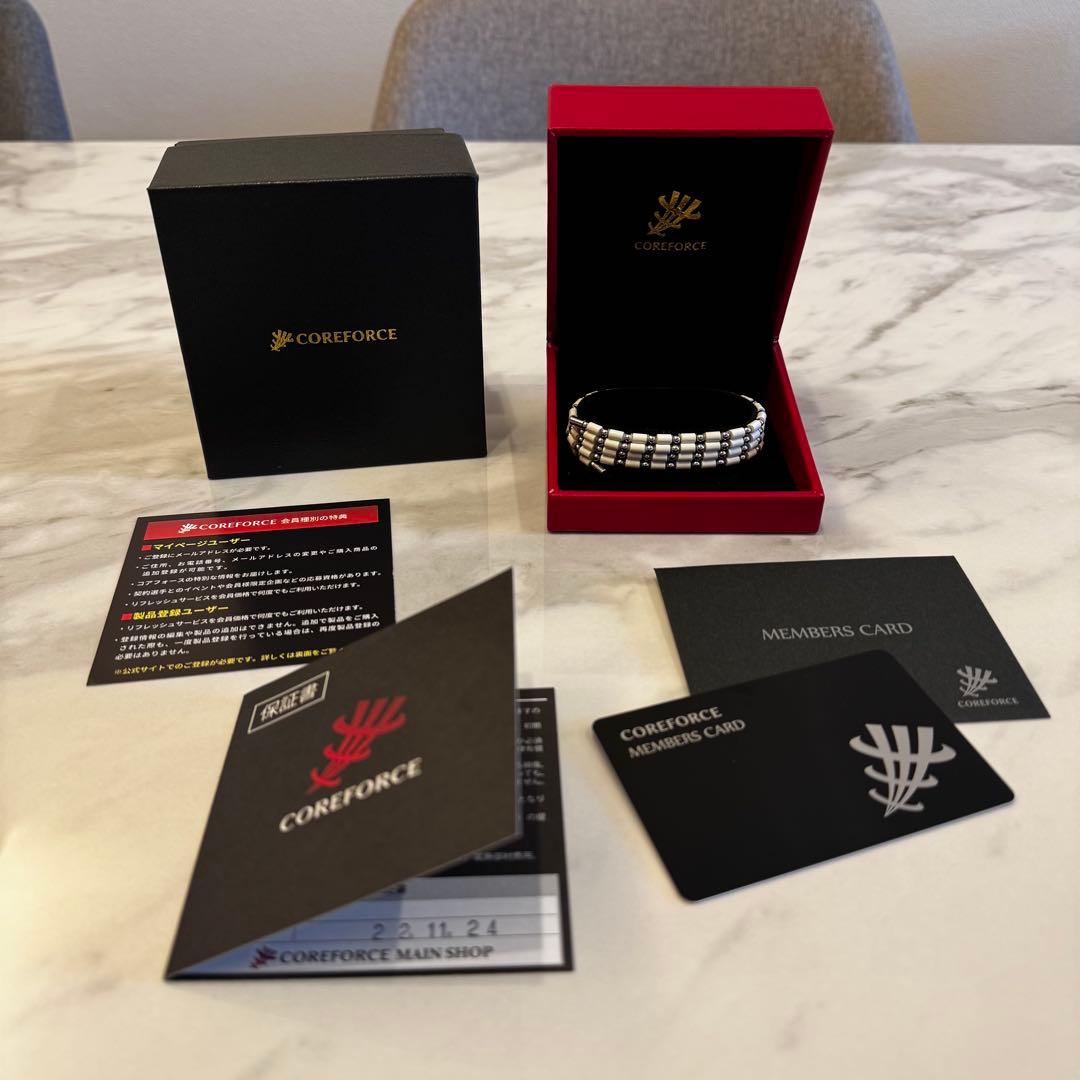 水城コアフォースループ SUS ホワイト CFL70