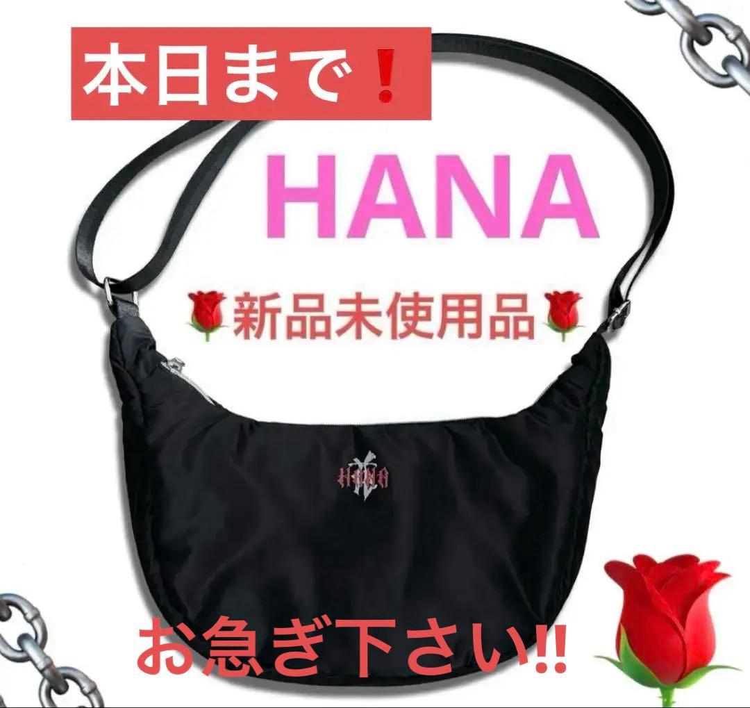 ‼本日で販売終了！HANA 黒 バッグ 新品・未使用品