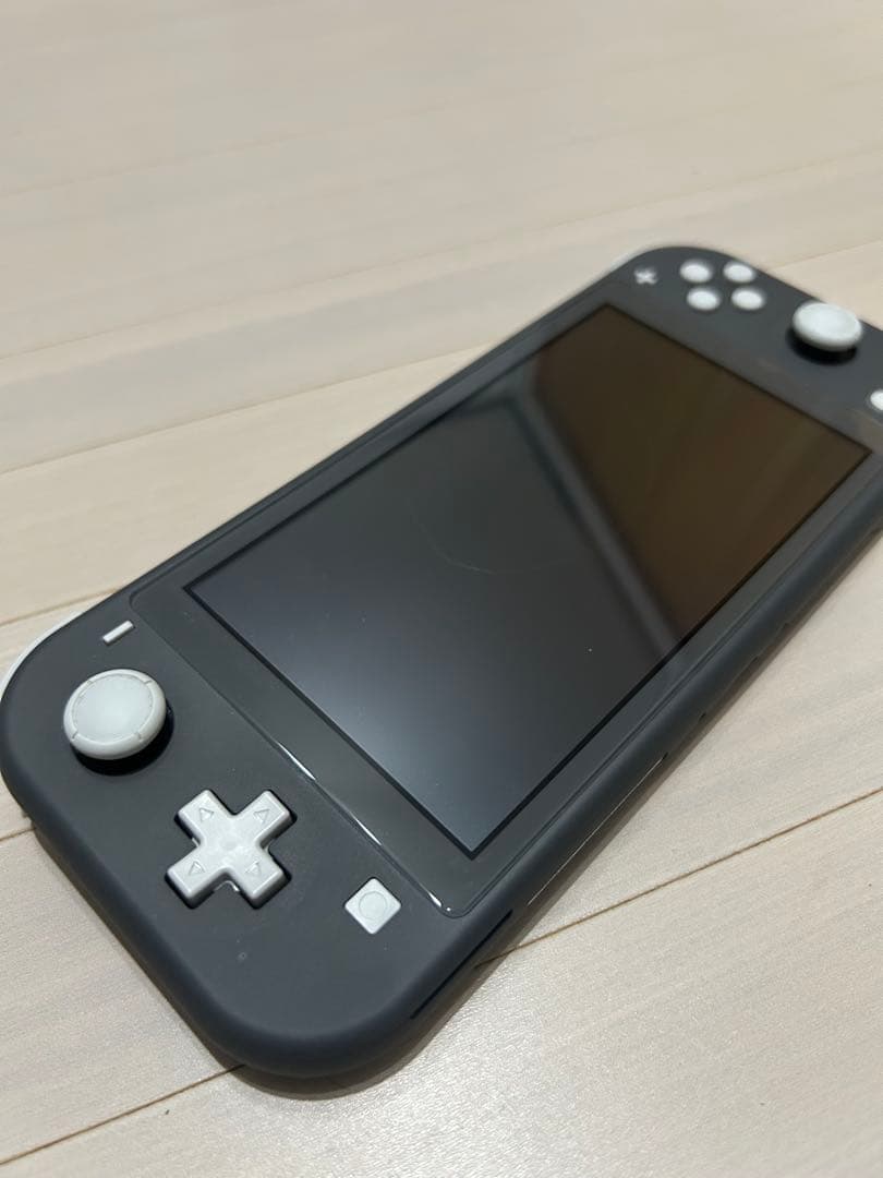 Nintendo Switch Lite グレー 本体、ケース付き