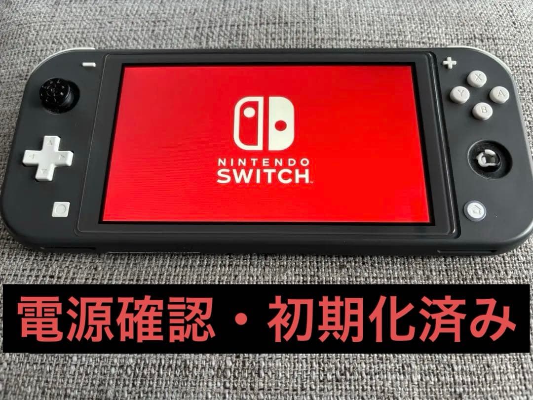 Nintendo Switch Lite 本体　グレー　スティック破損　ケース付