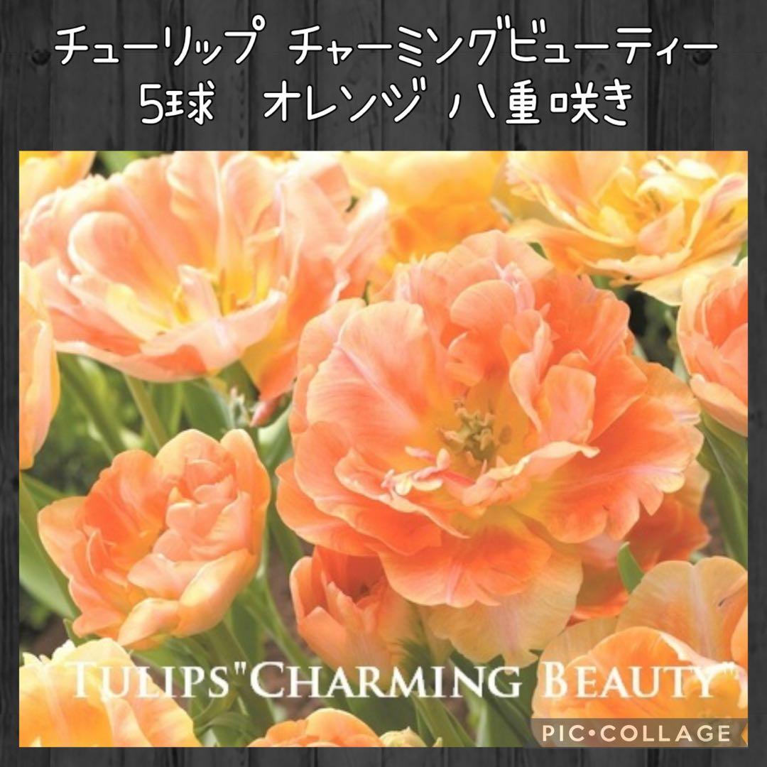 awe様 リクエスト 10点 まとめ商品