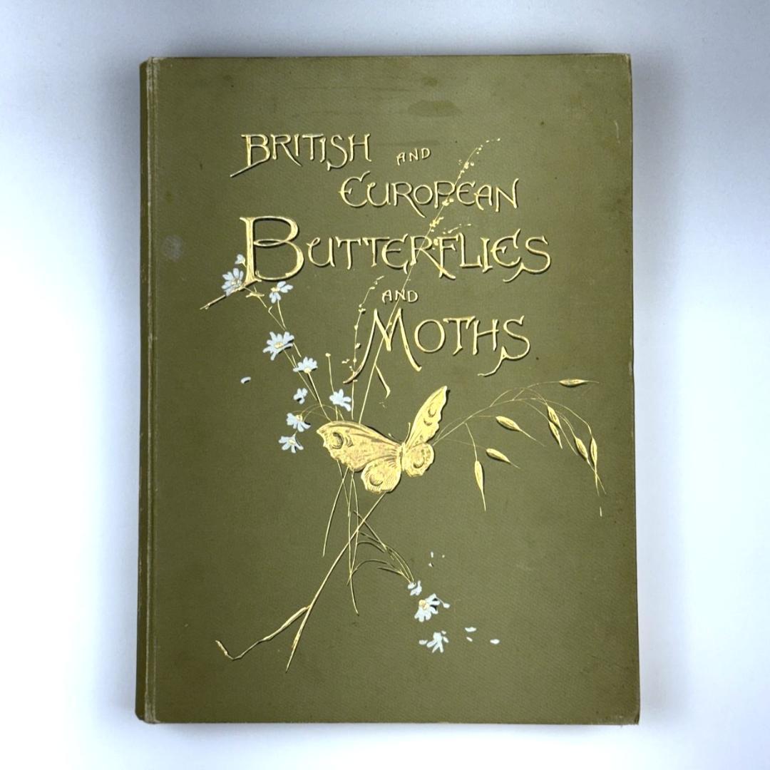 英国手彩色蝶類図譜 「英国とヨーロッパの蝶と蛾」 カービー 1895年 イギリス