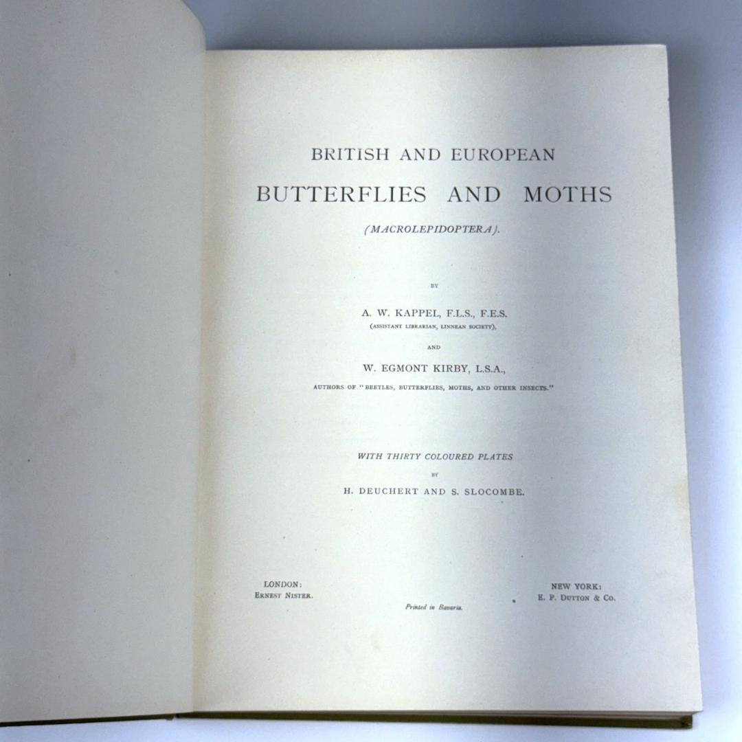 英国手彩色蝶類図譜 「英国とヨーロッパの蝶と蛾」 カービー 1895年 イギリス