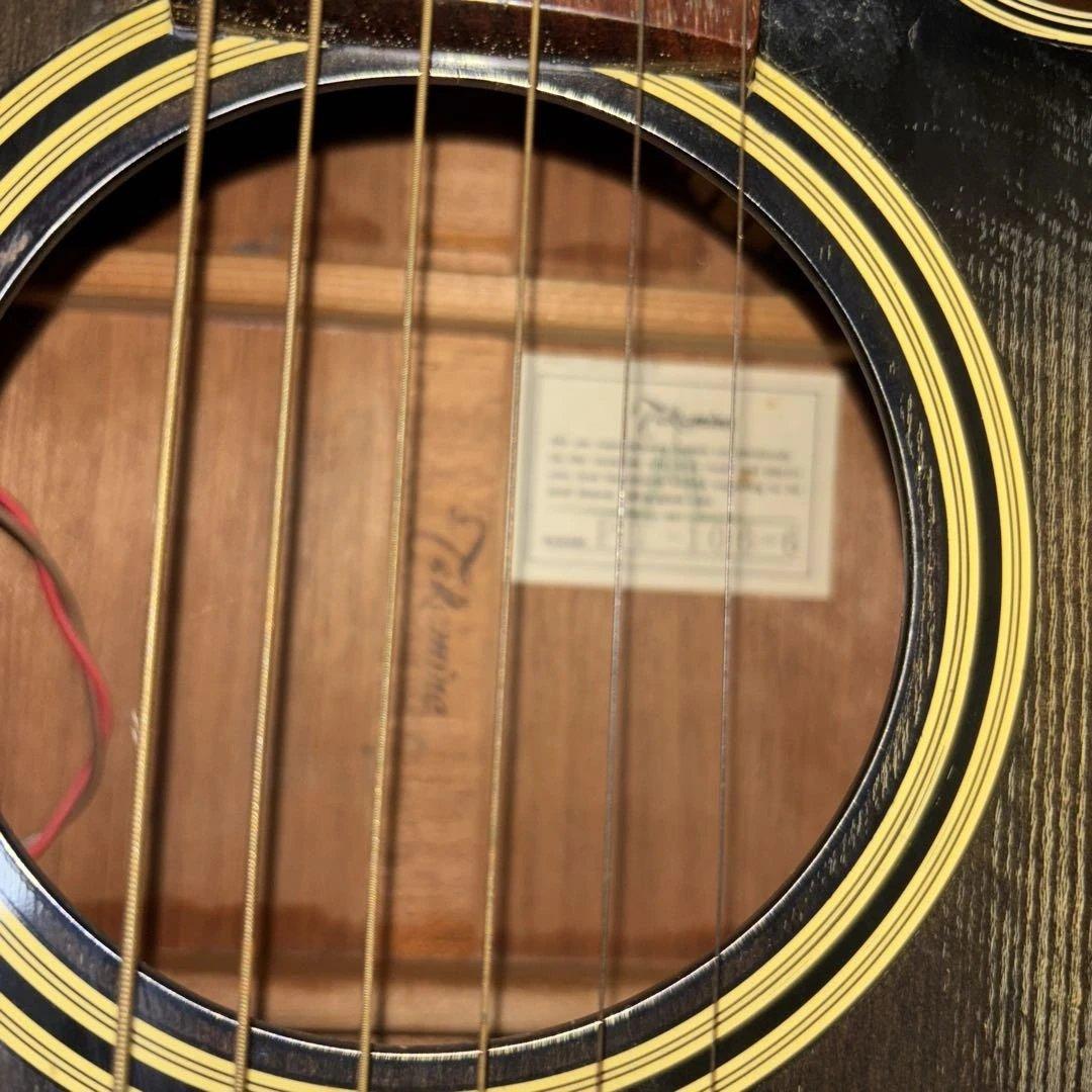 タカミネ　エレアコ