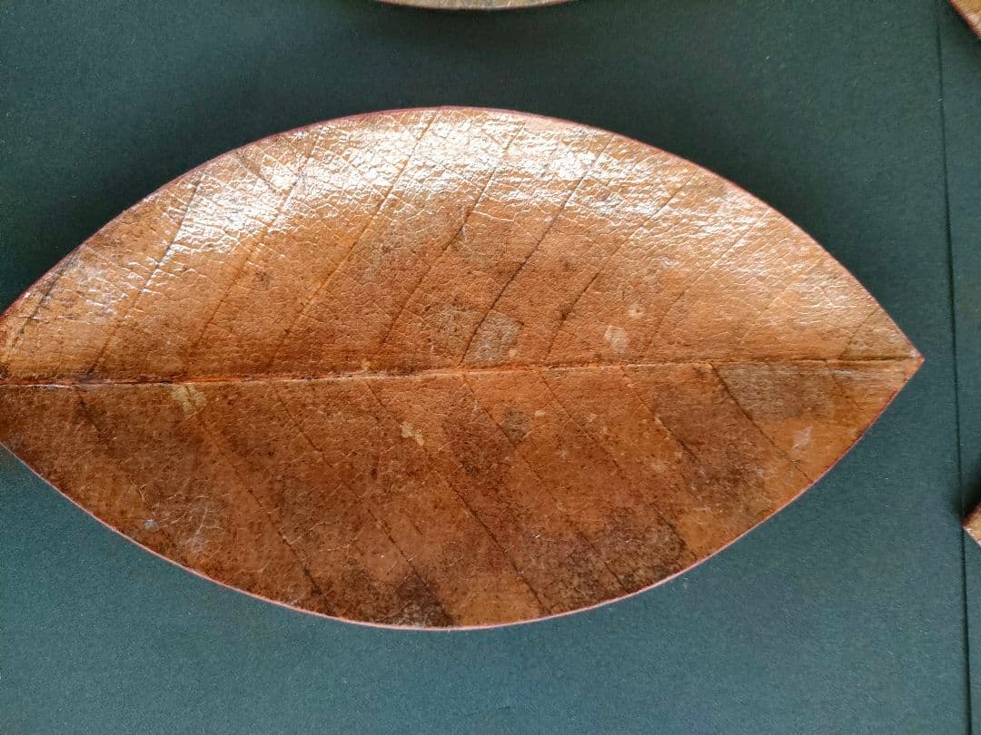 ●天然葉 プレスプレート 葉皿 5枚組アートオブジェ民藝ハンドメイドインテリア