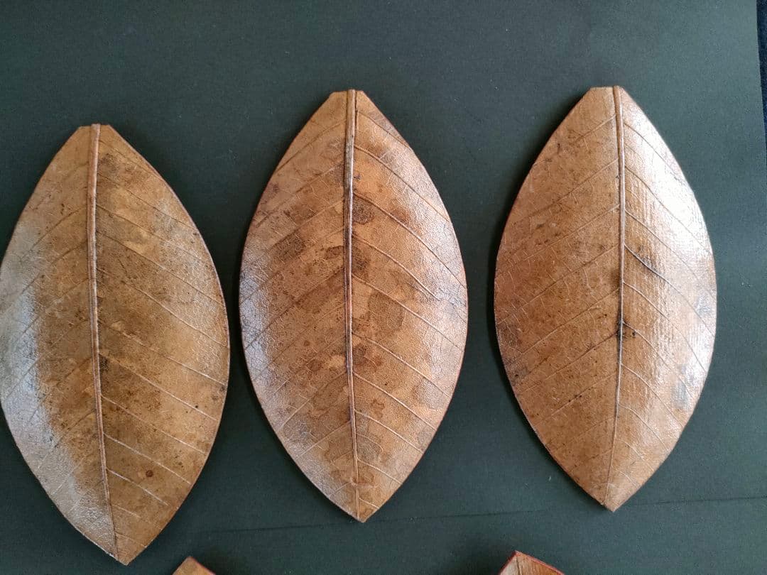●天然葉 プレスプレート 葉皿 5枚組アートオブジェ民藝ハンドメイドインテリア