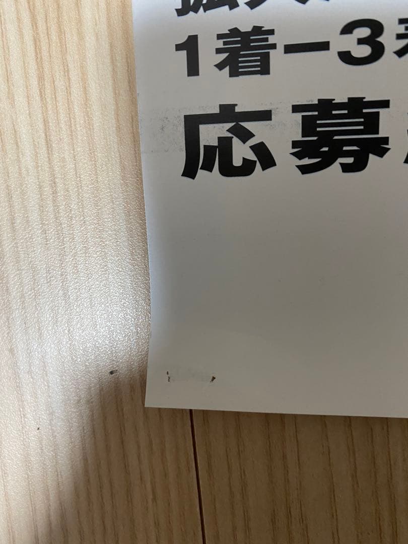 ナイスネイチャ 非売品ポスター