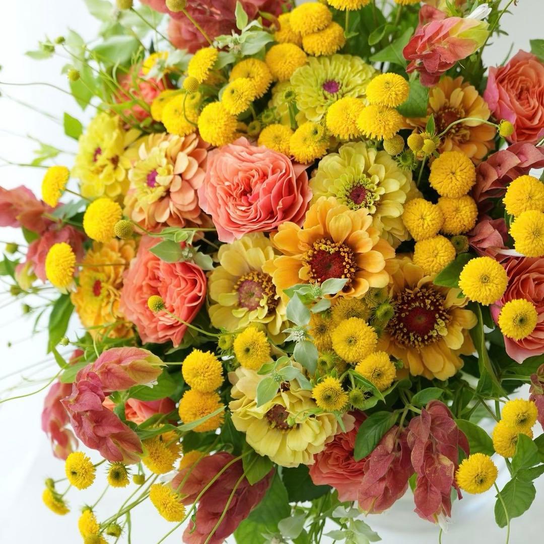 アップちゃん様の専用出品