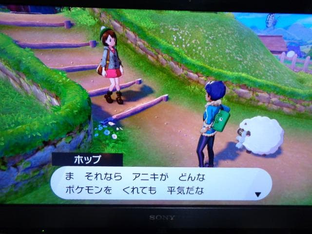 ニンテンドースイッチ ポケットモンスター ソード + エキスパンションパス