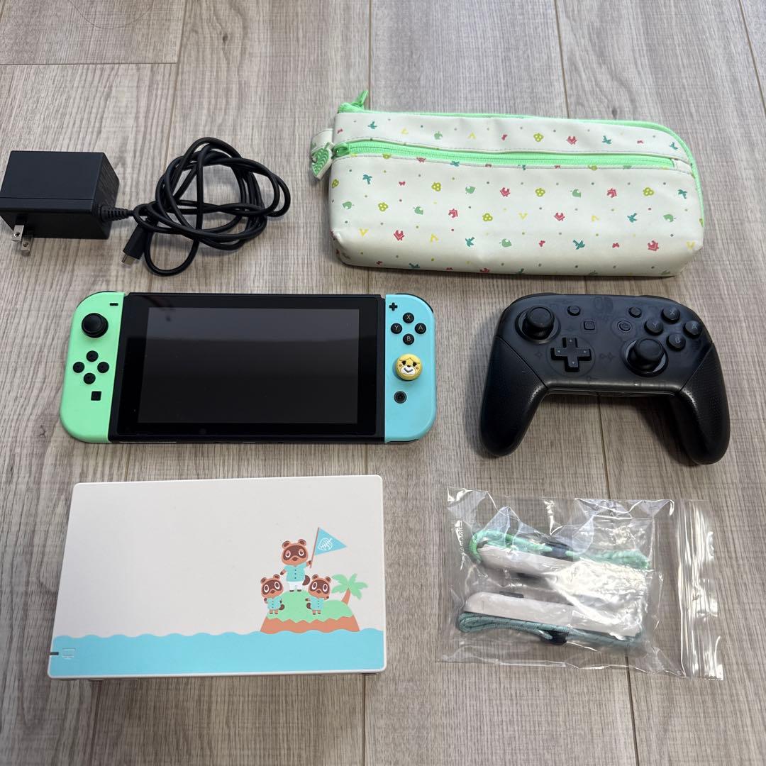 Nintendo Switch あつまれ どうぶつの森デザイン　ソフトなし