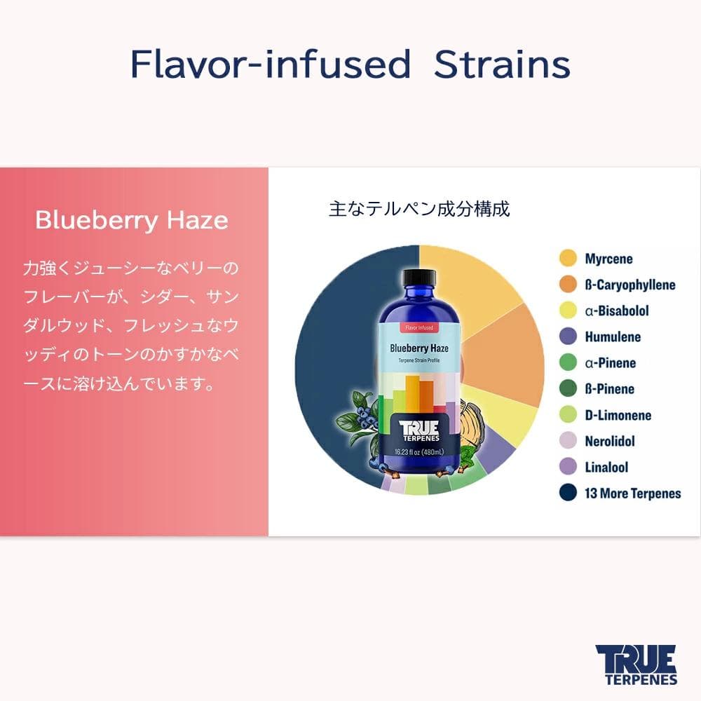TRUE テルペン 510 CBD CBN CBG 10ml ブルーベリーヘイズ