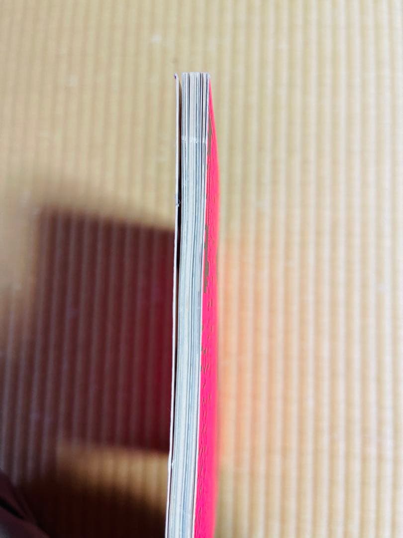 アート・デザイン・音楽 NOT ANOTHER PUNK BOOK