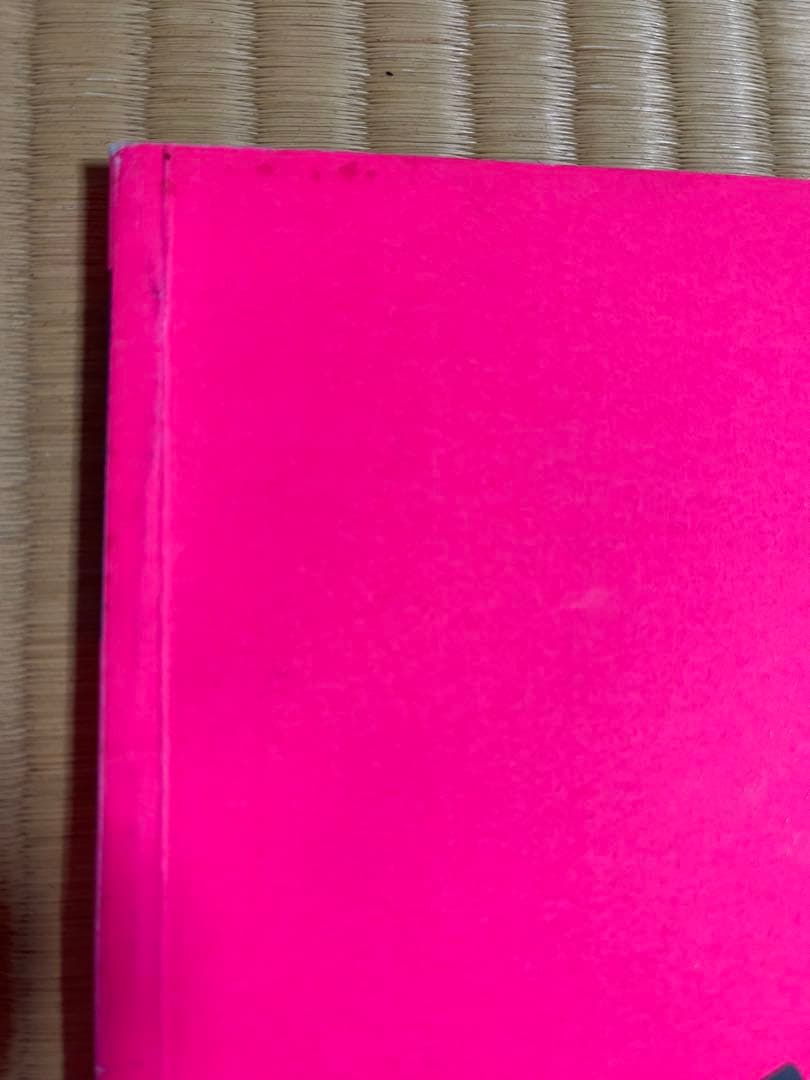 アート・デザイン・音楽 NOT ANOTHER PUNK BOOK