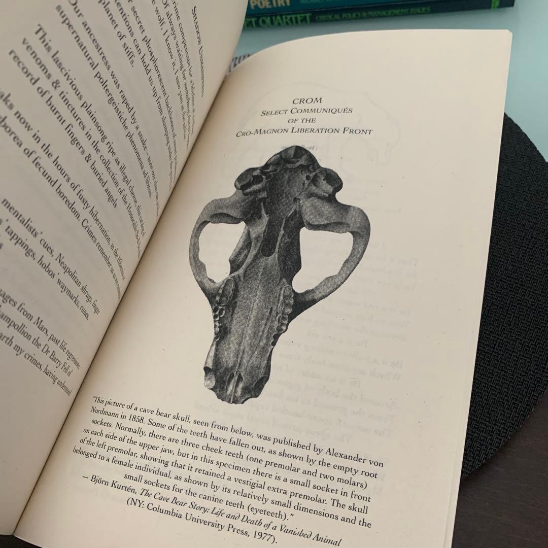 希少　Hakim Bey Black Fez Manifesto, &c.