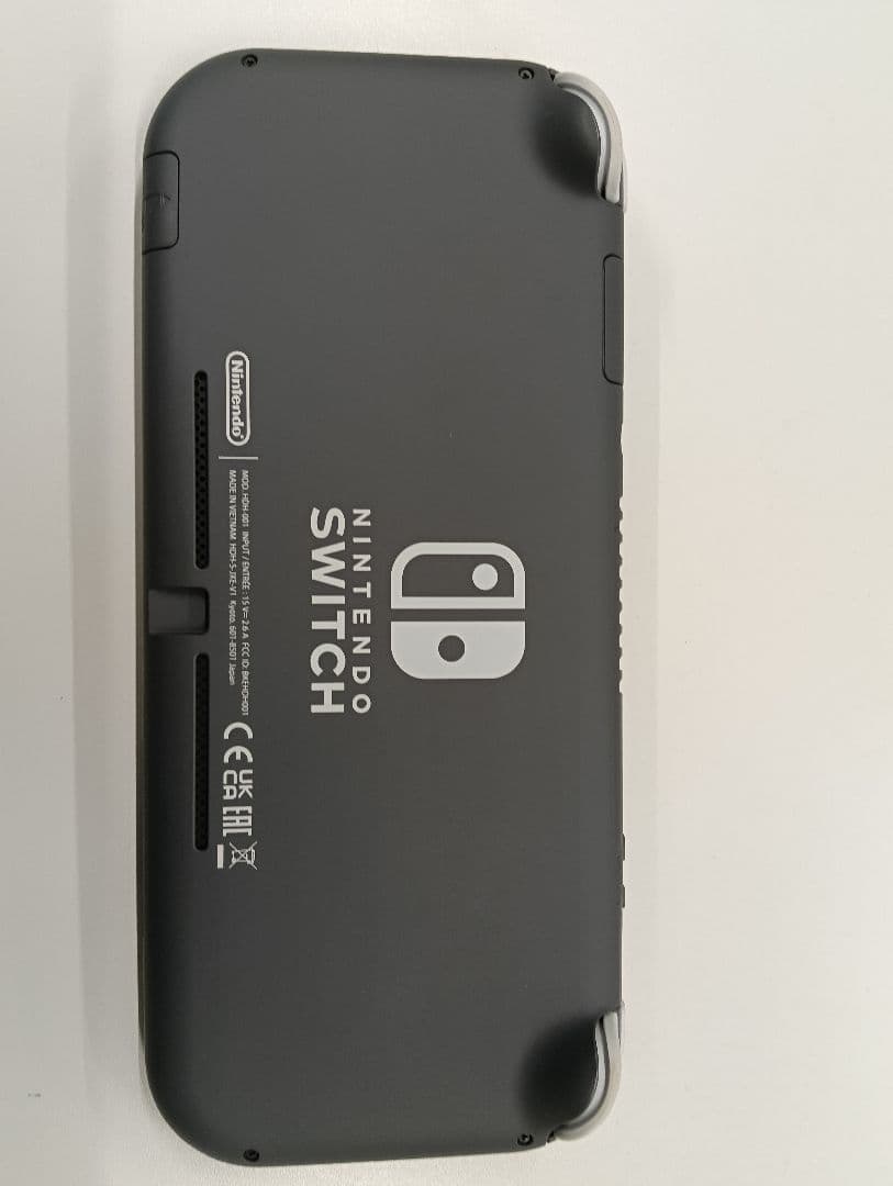 Nintendo Switch Lite グレー ケース・充電器付き