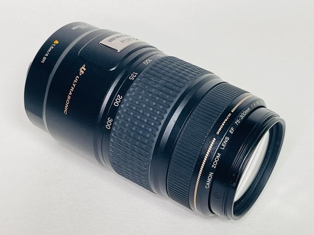 美品✨キャノン Canon EF 75-300mm F4-5.6 IS USM