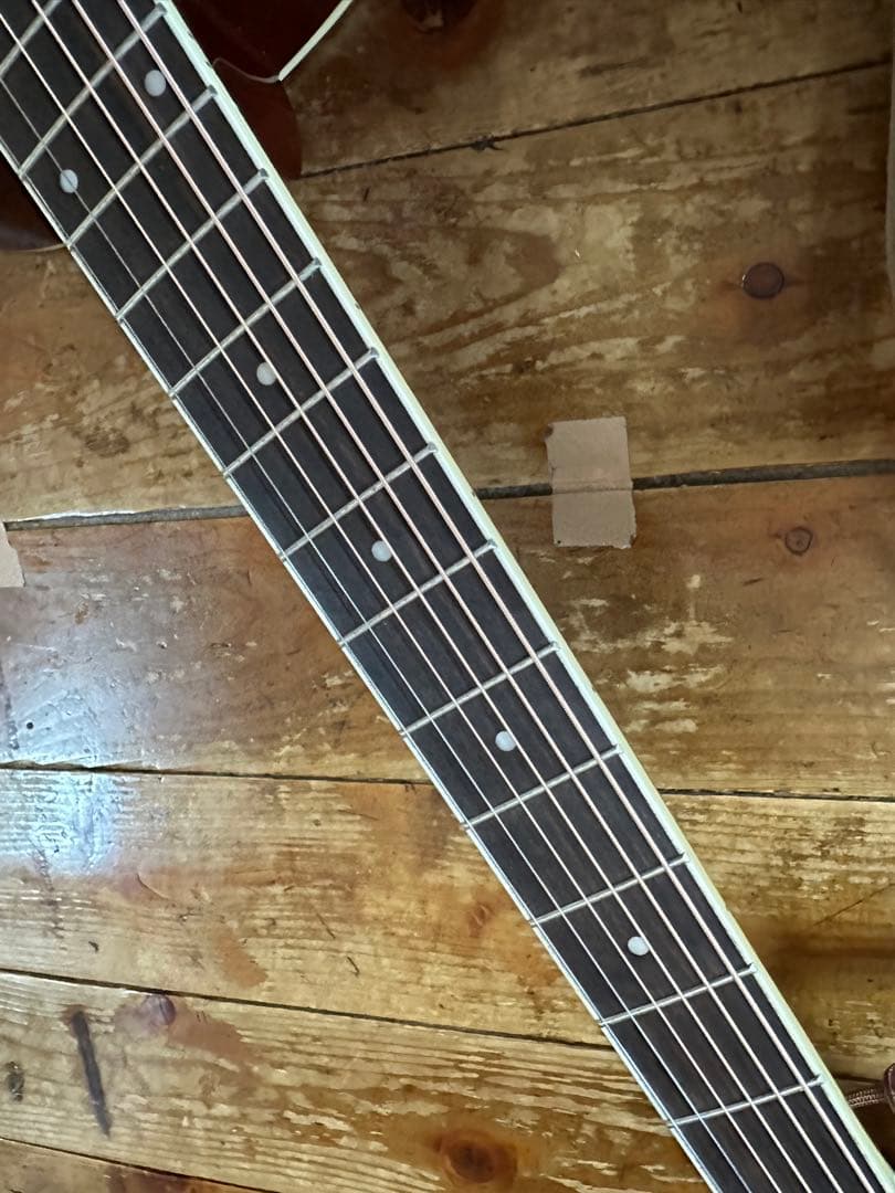 PLAYTECH プレイテック　RG10　エレクトリック・リゾネーターギター