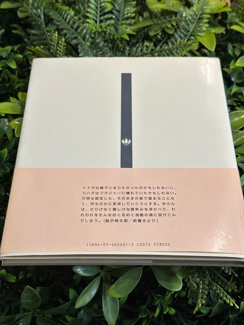 EAT 今道子 写真集 サイン入り 初版 1991年 小学館 Michiko