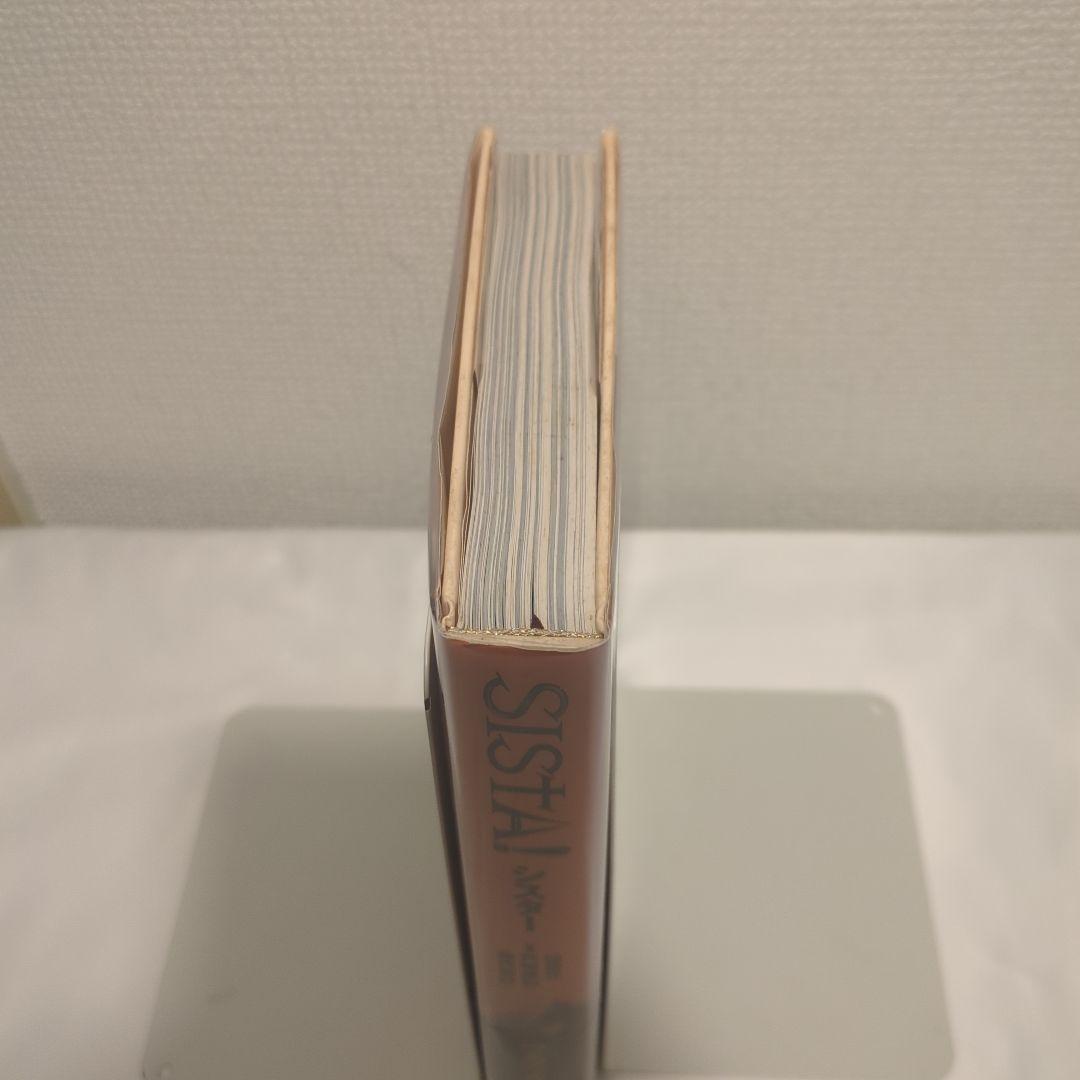 希少 写真集 SISTA! シスター 藤代冥砂 戸崎美和 稲葉元