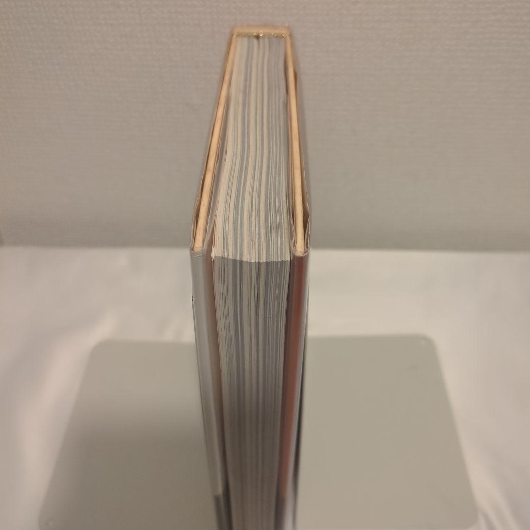 希少 写真集 SISTA! シスター 藤代冥砂 戸崎美和 稲葉元